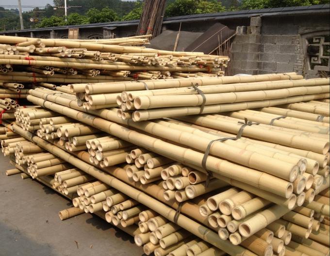 Оптовая цена Естественный мох Растение столб Мох Стик для восхождения растений Мох столбы Поддержка 0