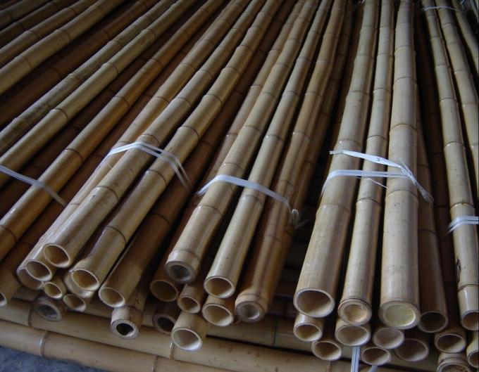 Оптовая цена Естественный мох Растение столб Мох Стик для восхождения растений Мох столбы Поддержка 3