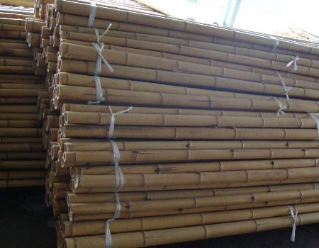 Оптовая цена Естественный мох Растение столб Мох Стик для восхождения растений Мох столбы Поддержка 2