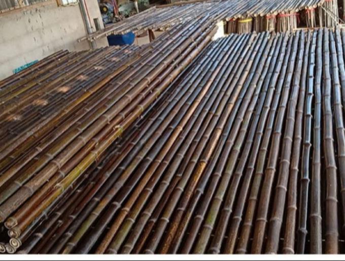 Естественный бамбуковый материал покрасил бамбуковые панели загородки свернул бамбуковую границу сада уединения загородки 1