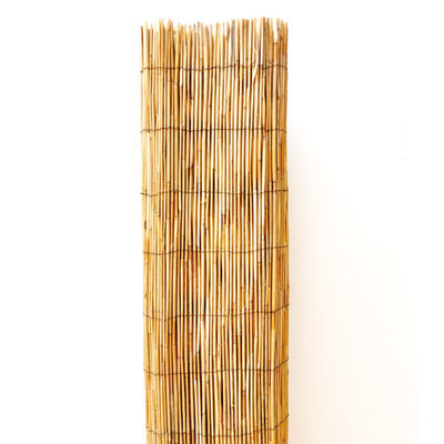 Ограждение из тростниковых деревьев - экологически чистый и универсальный способ обеспечить уединение и тень