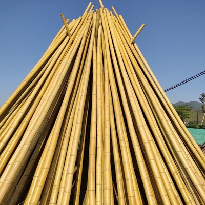 Поляк 100% естественный сырцовый 240cm бамбуковый строя Deoration 60cm до 595cm