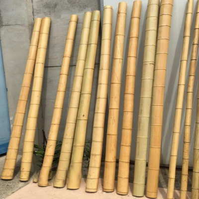 Колья поляков мебели сада естественные бамбуковые прямо на длина 16cm завода сада