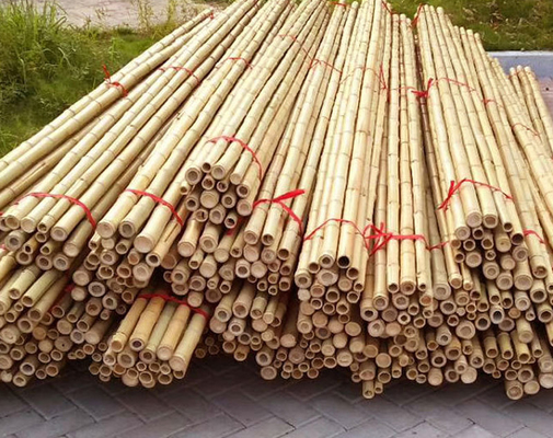 Колья поляков мебели сада естественные бамбуковые прямо на длина 16cm завода сада