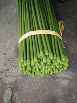 поляки длины 40cm 60cm 90cm 120cm зеленые бамбуковые крася зеленый цвет