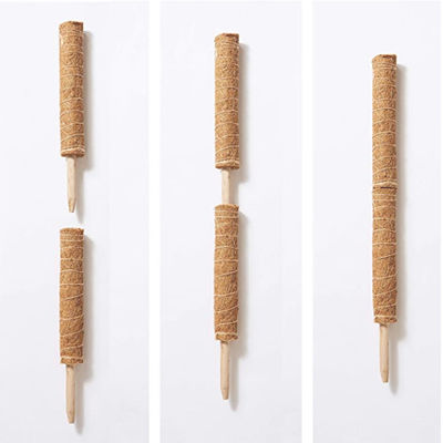 Моховый столб для подъемных растений 30 см 40 см 60 см 90 см Природный кокосовый кокос Тотемный опорный столб