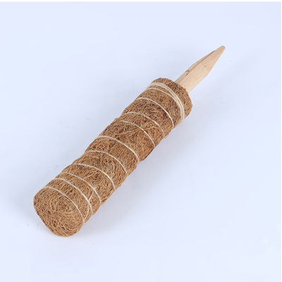 Моховый столб для подъемных растений 30 см 40 см 60 см 90 см Природный кокосовый кокос Тотемный опорный столб