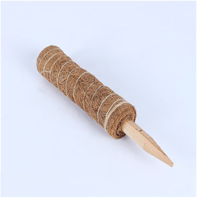 Моховый столб для подъемных растений 30 см 40 см 60 см 90 см Природный кокосовый кокос Тотемный опорный столб