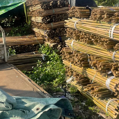 Поляка Moso 3 дюймов Eco колья дружелюбного бамбукового бамбуковые для желтого цвета украшения завода