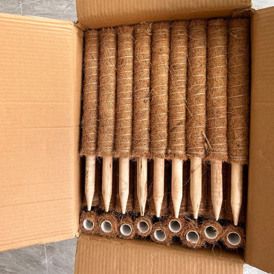 Поддержка растений Кокосовая палочка Кокосовая палочка Прочный скалолазный столб для виноградной лозы