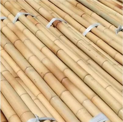 Natural Bamboo Pole 45cm-600cm for Garden Plant Support