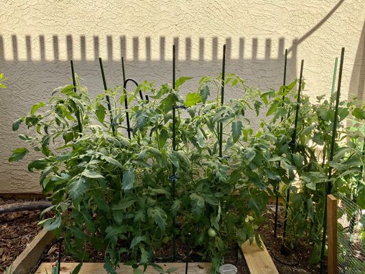 Plastic Coated Metal Stakes, Green Garden Stakes for Plant Support, Plant Climbing, Landscape, Fencing